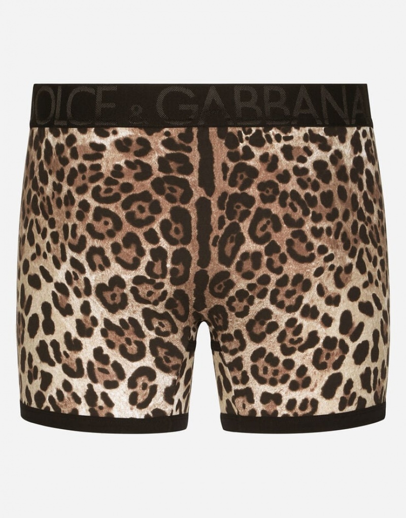Ropa Interior Dolce Gabbana Long-leg two-way stretch cotton boxers with leopard print Hombre | QJV867591